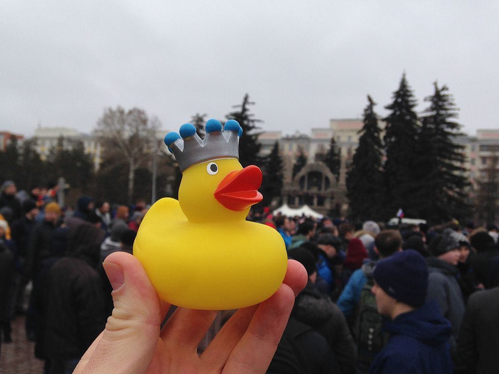 Protest tegen Medvedev